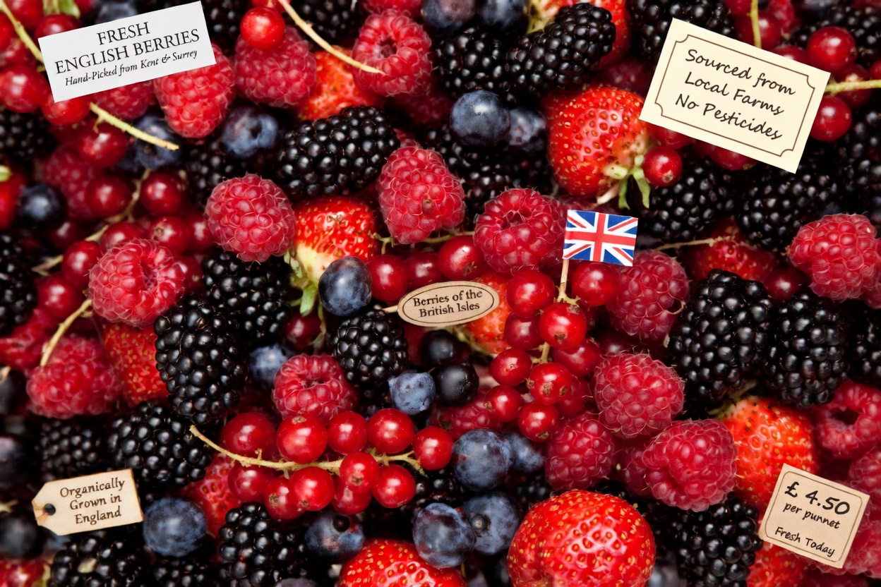 SENIORS: 5 Foods That Help Fight Against Cancer & Repair The Body