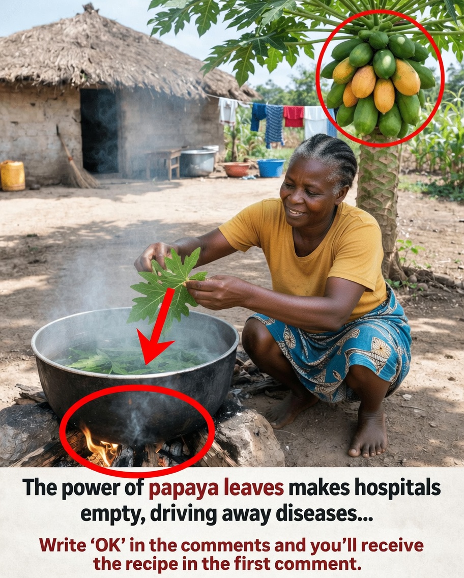 Papaya Leaf Drink: A Natural Remedy Many People Use to Support Overall Wellness