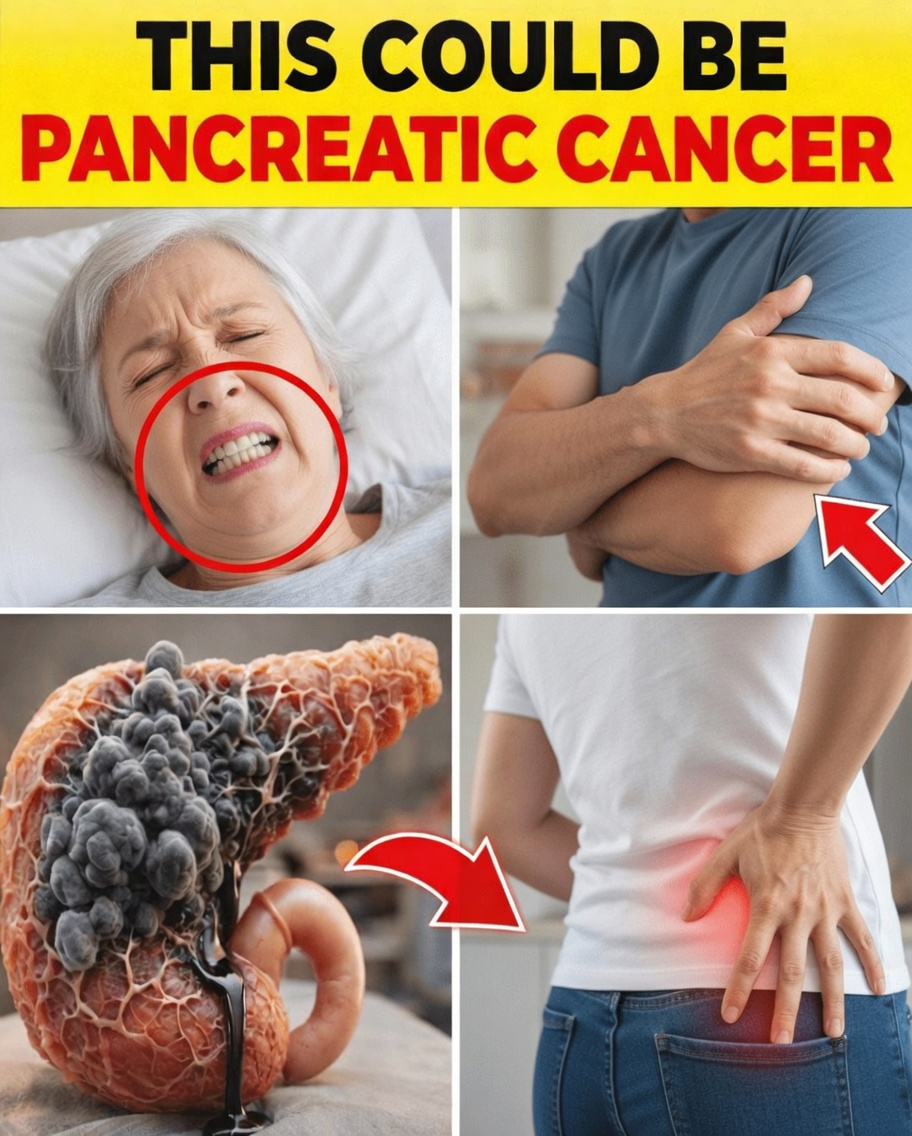 10 Subtle Symptoms of Pancreatic Cancer That Many Adults Overlook – Early Awareness Could Make a Difference
