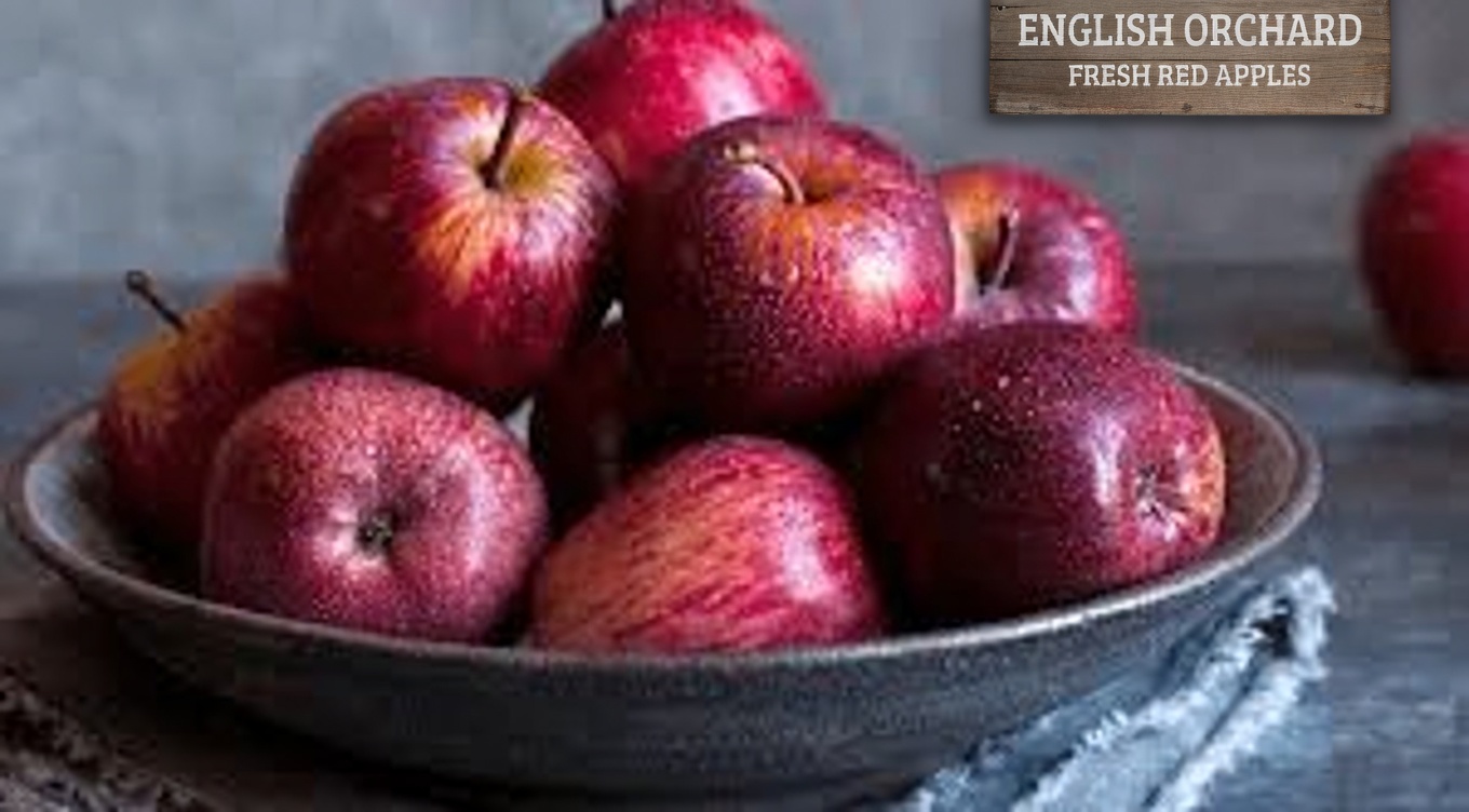 Doctor reveals 5 powerful snacks that help your body fight cancer and disease