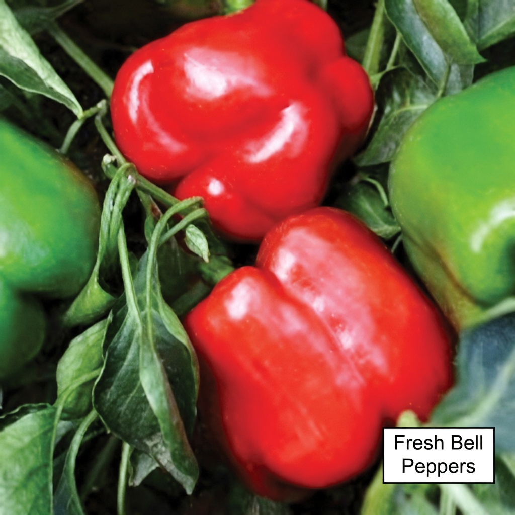 8 Natural Superfoods Your Kidneys Will Thank You For: Everyday Foods to Support Your Wellness Naturally