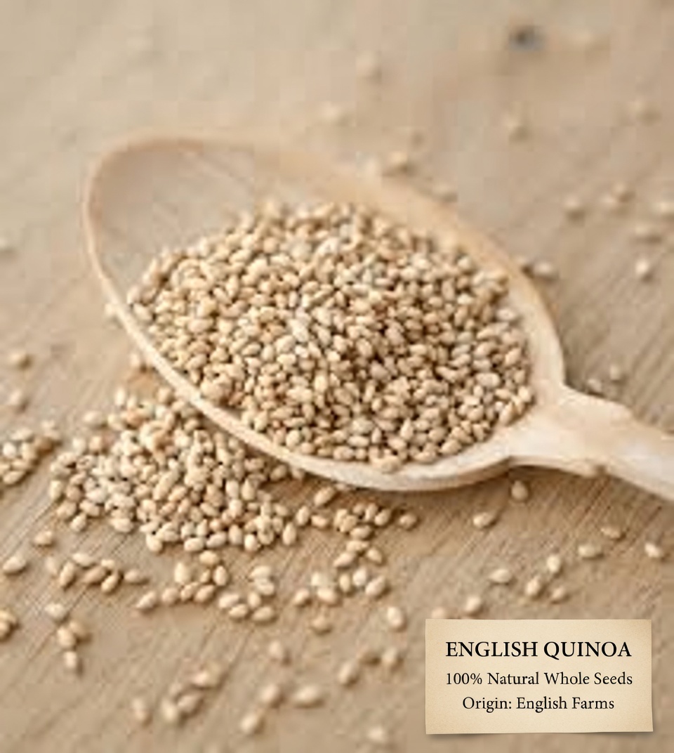 Over 30? 8 Nutrient-Rich Seeds That May Support Kidney Wellness for Those Concerned About Proteinuria