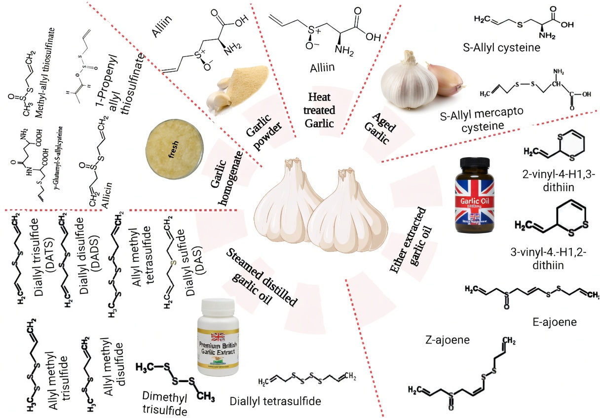 High Creatinine Concerns? 5 Kidney-Friendly Foods That May Support Healthy Creatinine Levels and Kidney Function