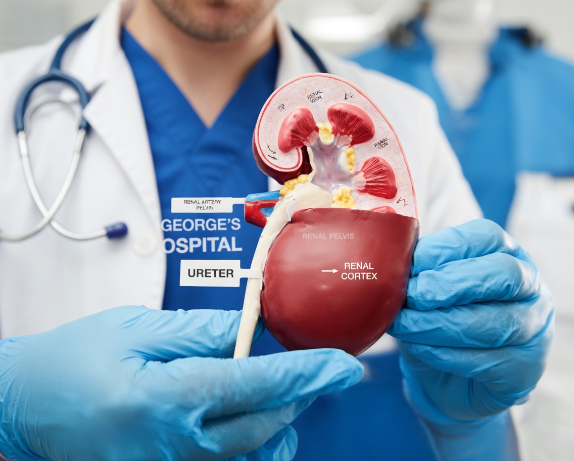 High Creatinine? This Nighttime Fruit Habit Is Gaining Attention