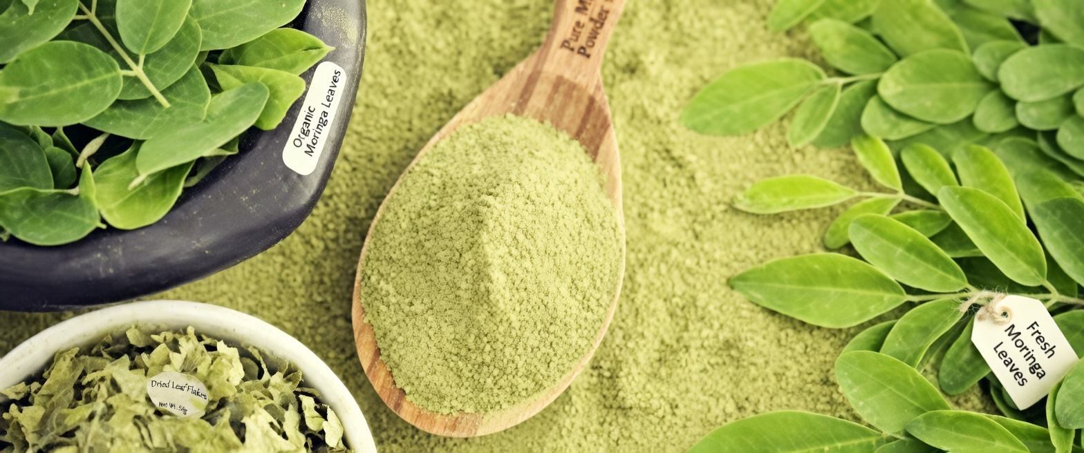 This Powerful Leaf Could Help Fight Cancer – Why No One Talks About It?