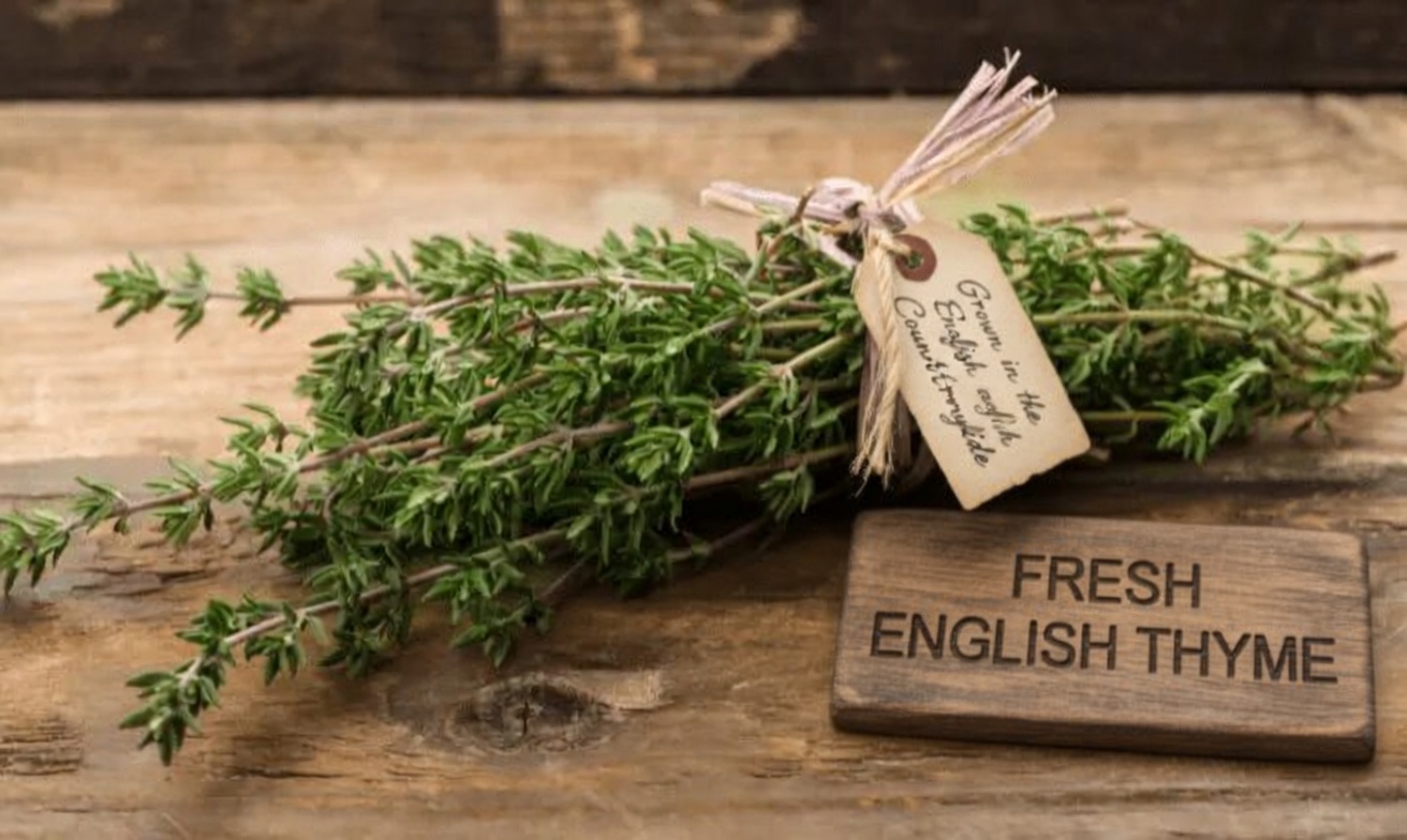 8 Benefits and Uses of Thyme