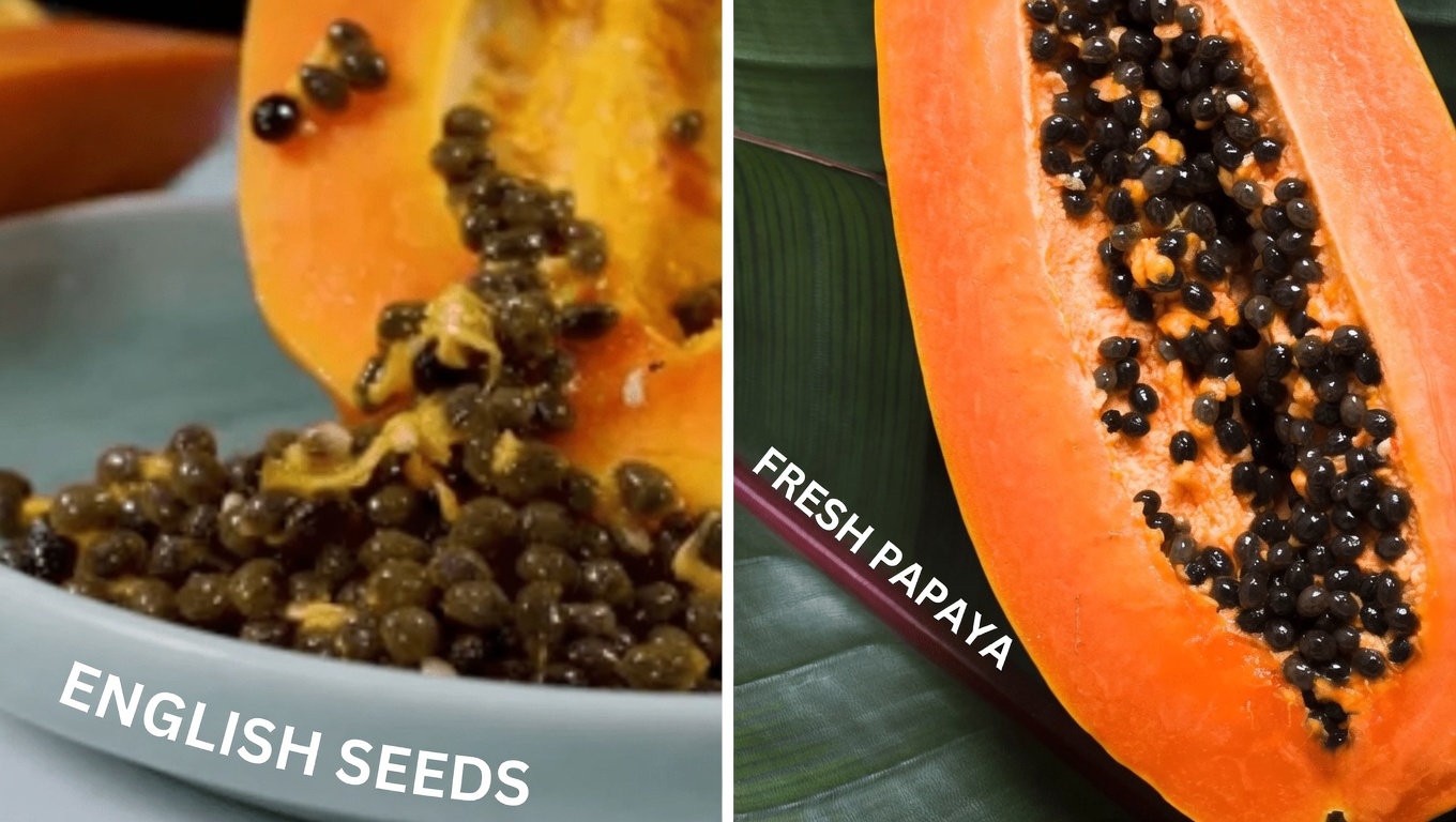 Papaya Seeds for Joint Relief: A Simple Home Remedy for Knee, Back, and Spine Discomfort You Can Try Today