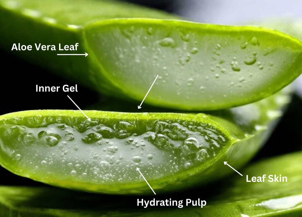 Discover the Secret to Youthful Skin: Homemade Baking Soda Cream Unveiled – Glow Like 35 at 65