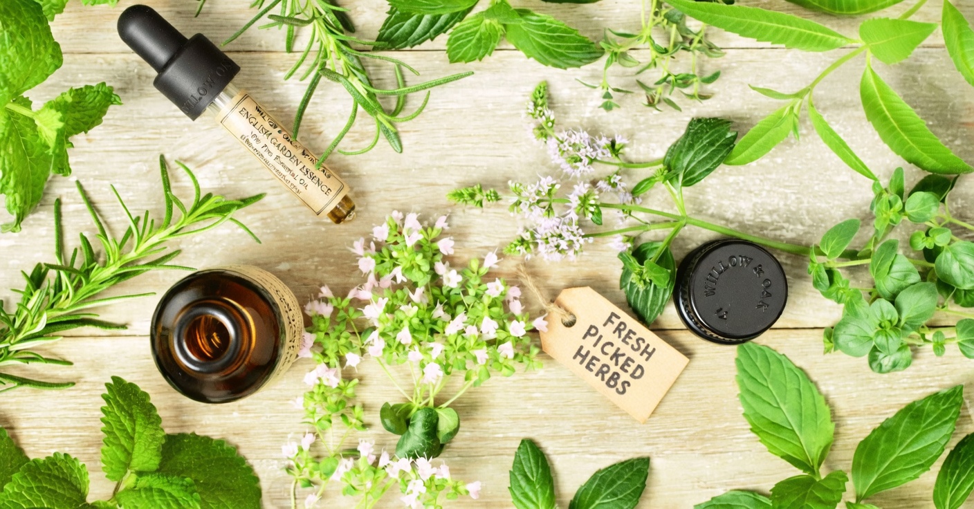 9 Natural Home Remedies for Fungal Infections: Simple Everyday Tips to Support Skin Comfort and Wellness