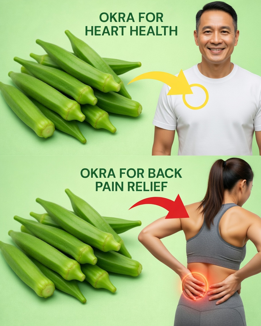 Discover 15 Simple Ways to Include Okra in Your Diet for Everyday Health and Wellness Support