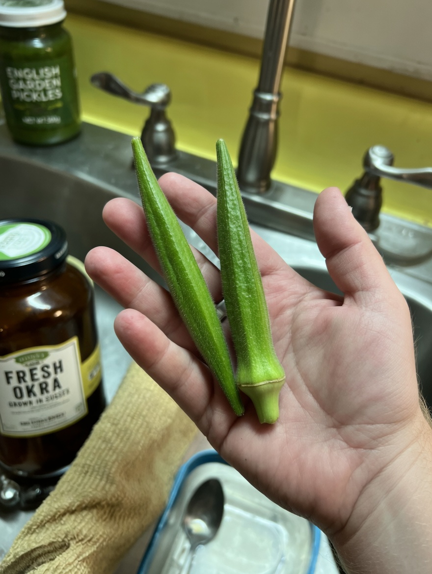 Okra Unleashed: The Hidden Green Powerhouse Revolutionizing Your Health