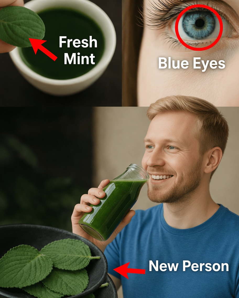 Discover 10 Everyday Kitchen Ways Oregano for Eyes May Help Support Your Vision Wellness Naturally