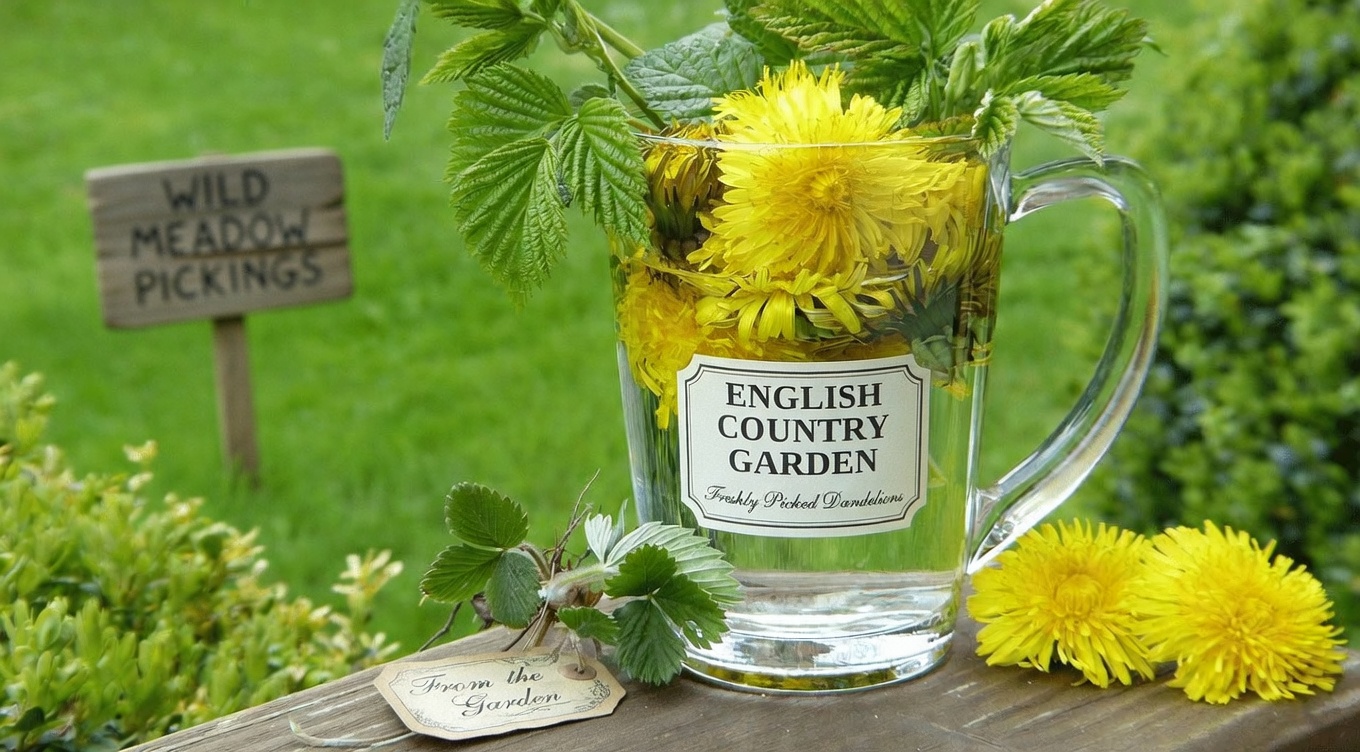 Explore the Top 10 Refreshing Super Drinks for Kidney Health That May Help Support Your Wellness Naturally