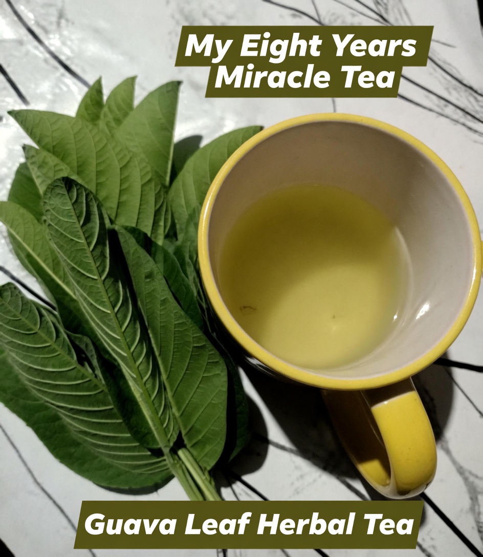 Guava Leaf Tea: The Everyday Herbal Drink That May Support Digestion, Blood Sugar Balance, and Heart Health