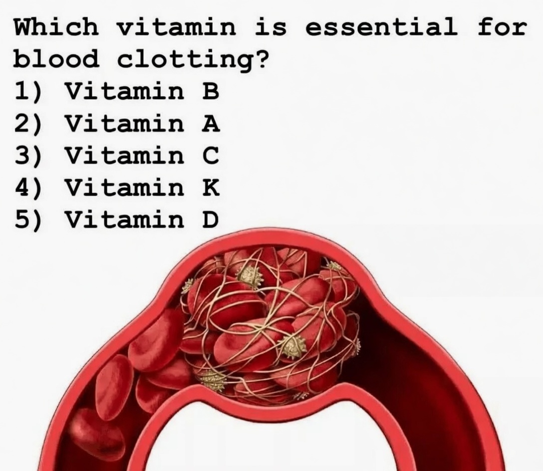 What Every Senior Should Know About Vitamin E Supplements and Potential Stroke Risk
