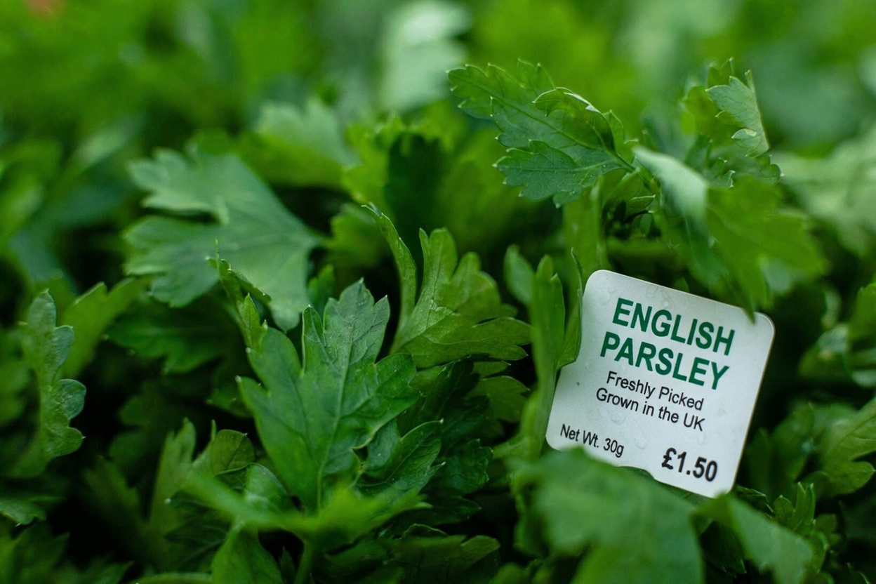 Discover These Top 5 Vegetables for Supporting Healthy Creatinine Levels and GFR in Your Daily Routine