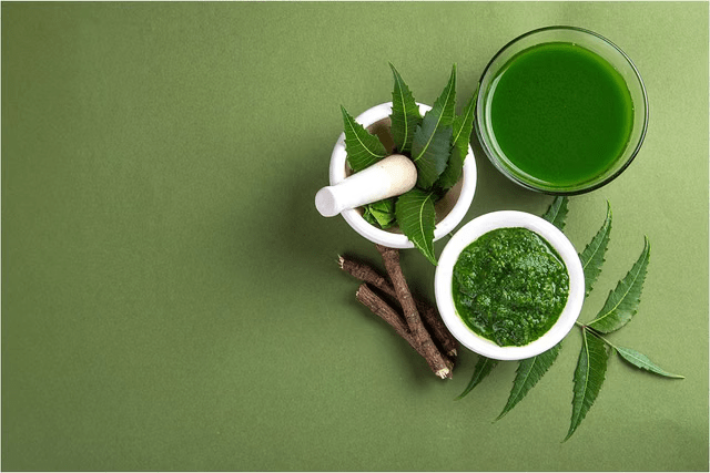 What You Need to Know About Neem Leaf Powder and Its Role in Supporting Major Organ Health