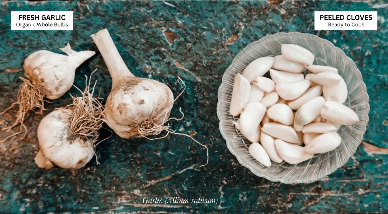 8 Powerful Herbs That Help Prevent Cancer