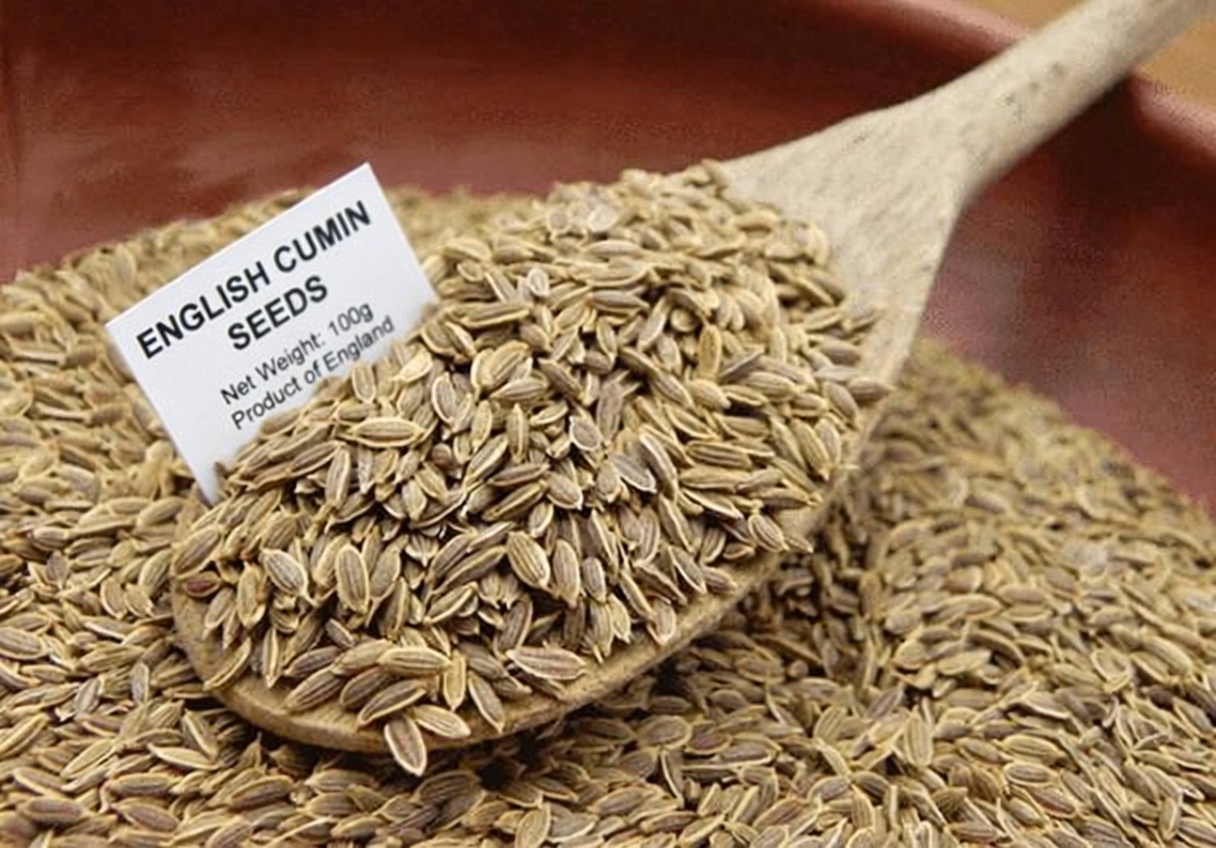 Forget Carrots? Why Fennel Seeds Are Gaining Attention for Eye Wellness Support in Your Daily Life