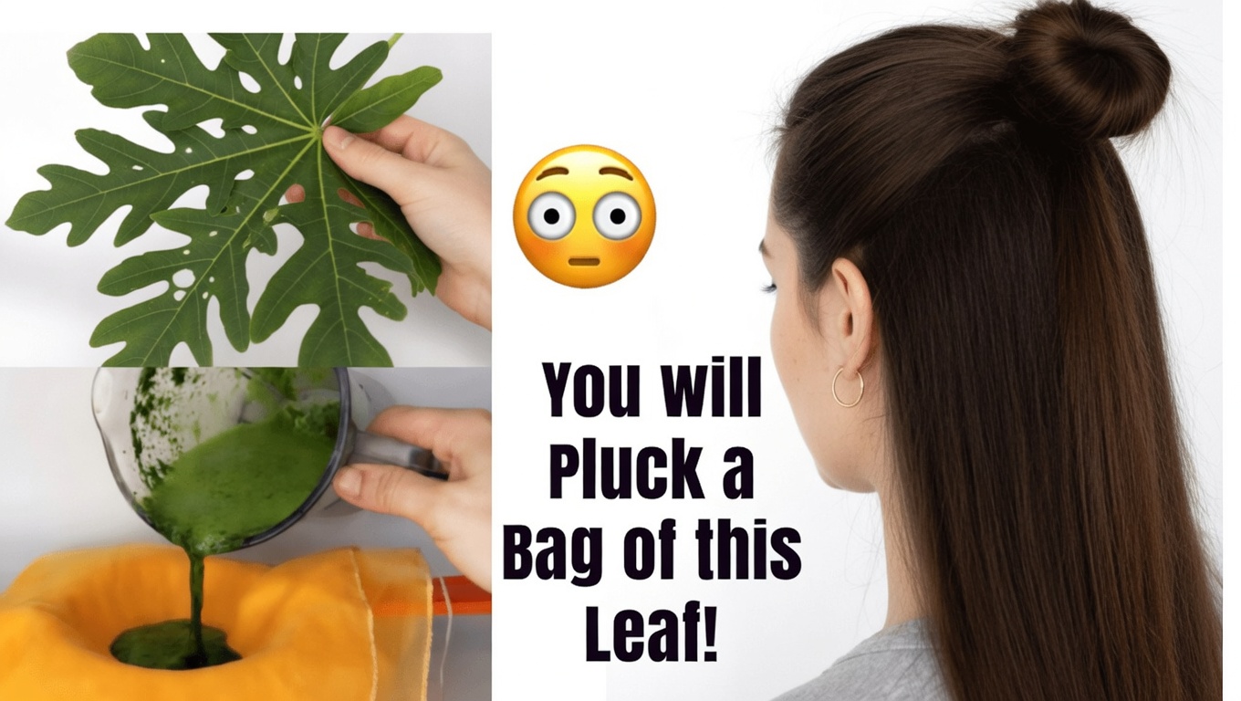 How to Use Papaya Leaves Overnight for Natural Hair Care: Recipes and Tips for Healthier Hair