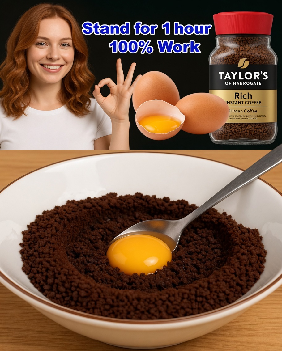 Eggs and Coffee: The Ultimate Energy-Boosting Combo for Stamina & Health!