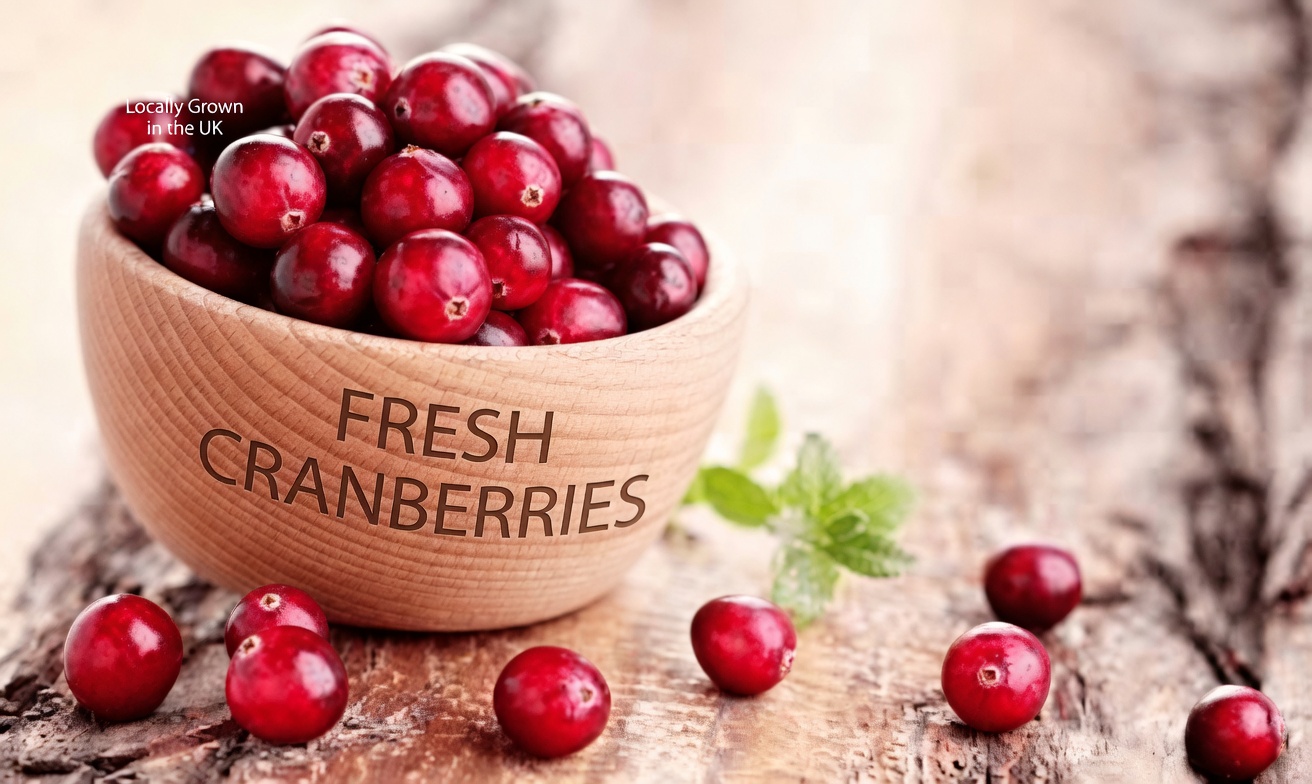 Discover the Top 10 Superfoods That May Help Support Kidney Function and Manage Proteinuria Naturally