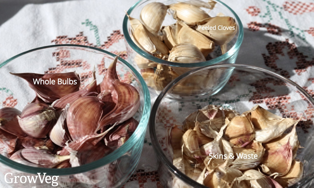 Onions: A Natural Way to Get Rid of Pests