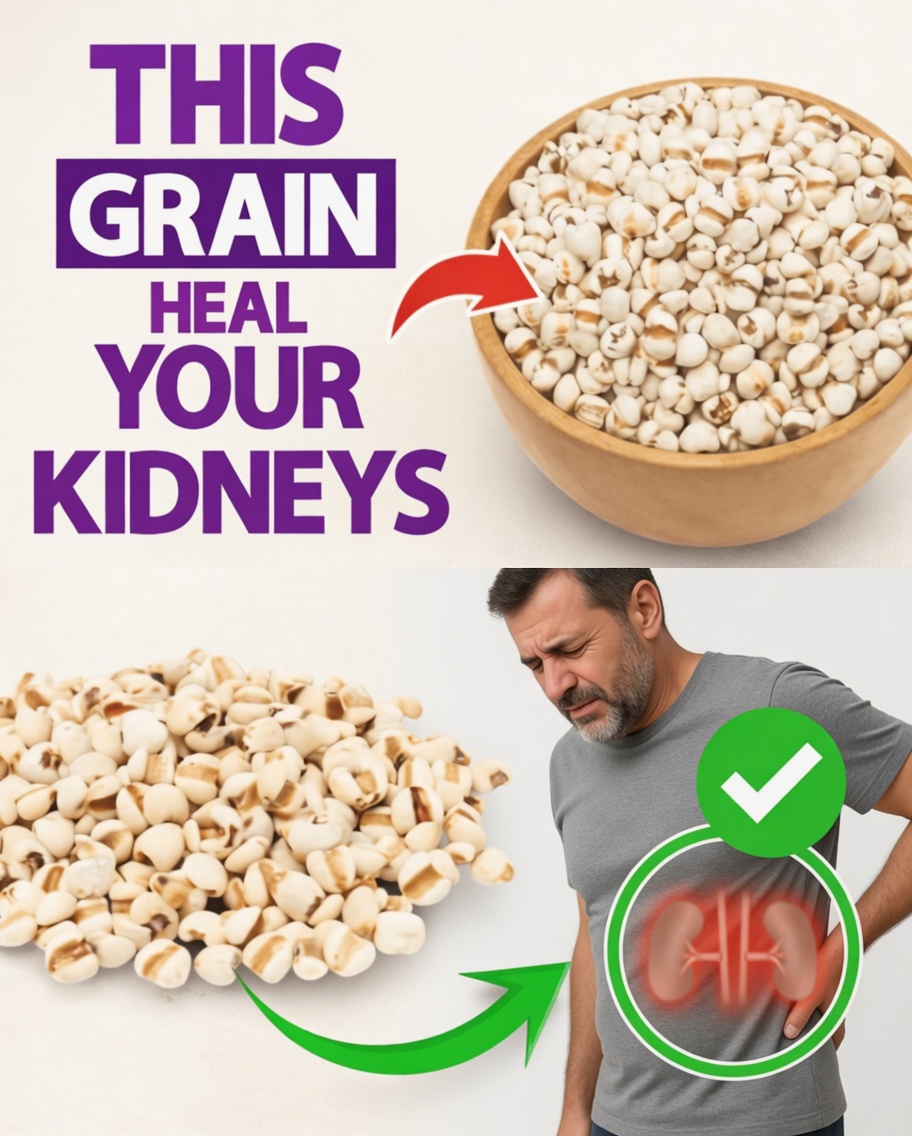 Discover the Top 3 Everyday Grains That May Support Kidney Health and Natural Detox Process