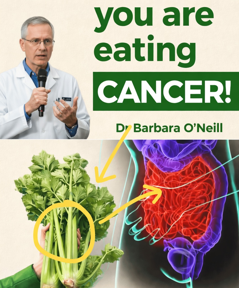 9 Worst Foods That Feed Cancer Cells According to Barbara O’Neill – What She Warns Against for Better Wellness