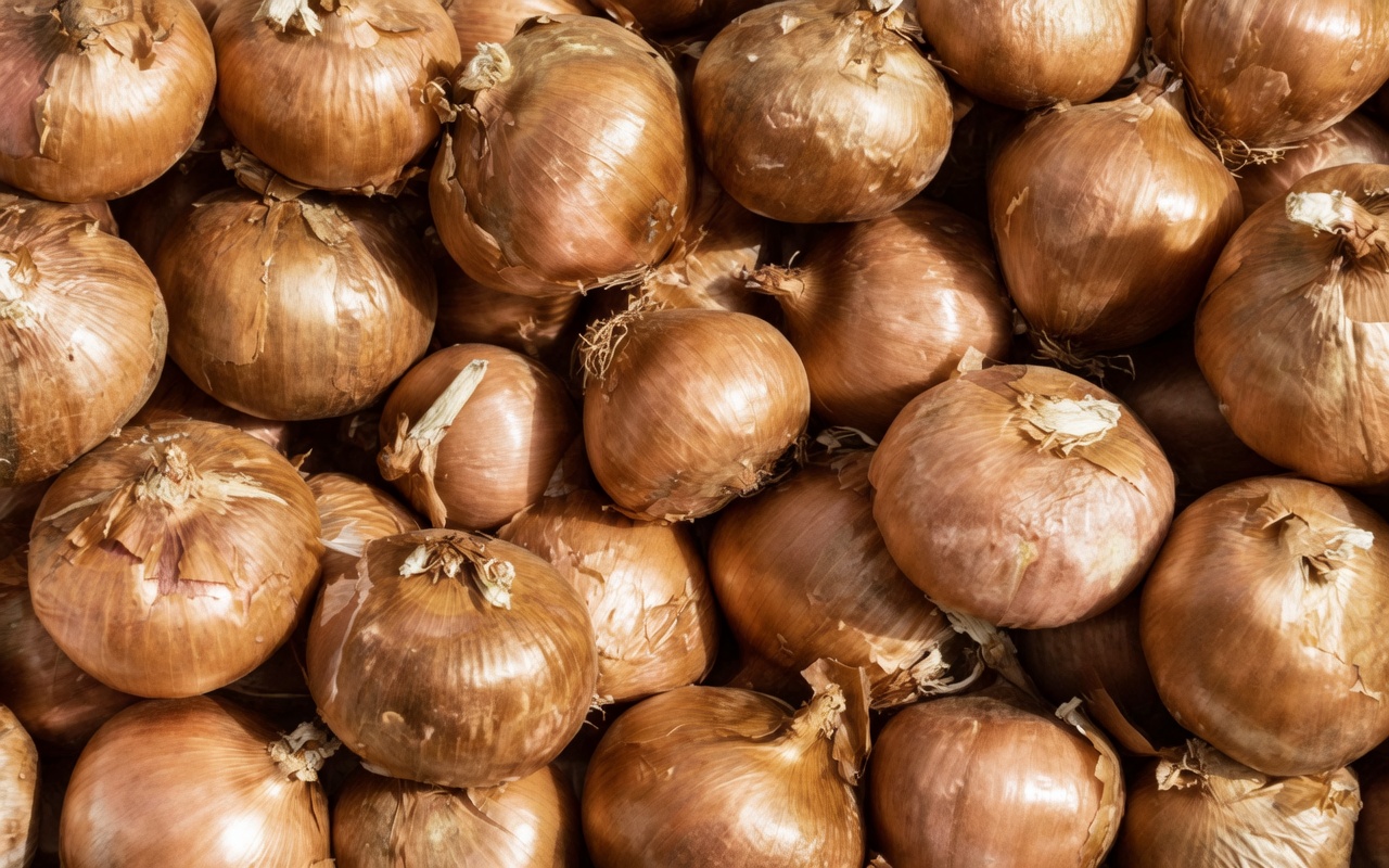 Eat Red Onions Daily and Watch This Happen – Doctors Never Say THIS!
