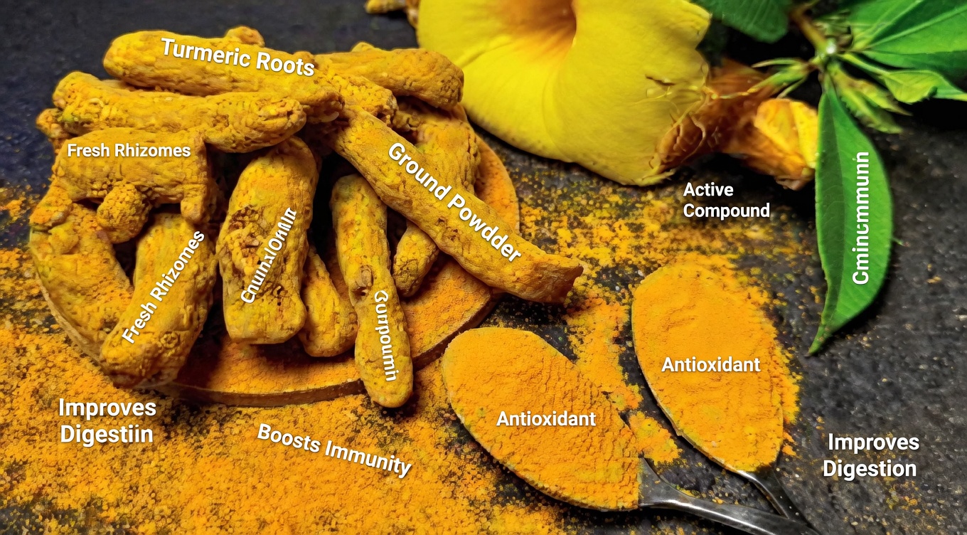 The 5 Most Popular Herbs for Leg Circulation (and What You Should Know First)