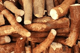 Doctors Reveal That Cassava Consumption Causes Health Concerns: What You Should Know Before Eating This Popular Root
