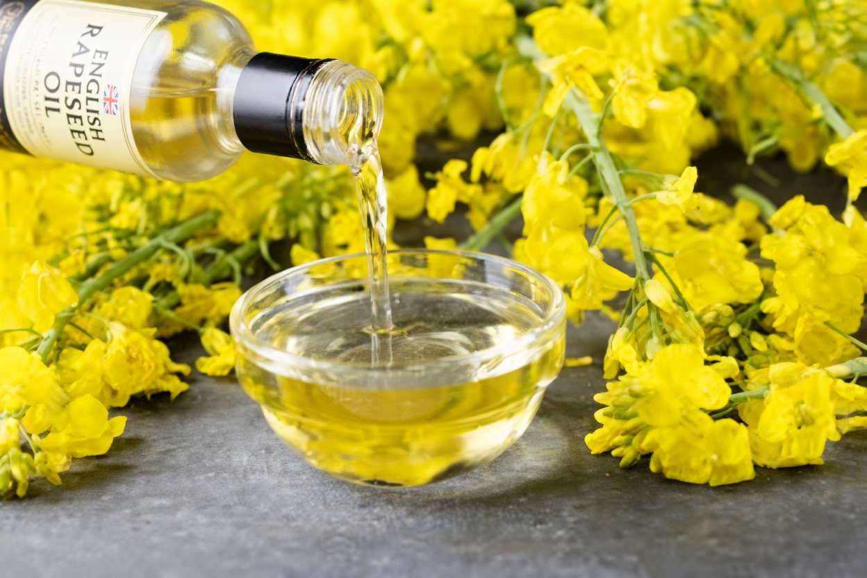 Which Fats Are Best for Kidney Health After 40? Discover 4 Safe Options and 4 Risky Ones to Watch Out For