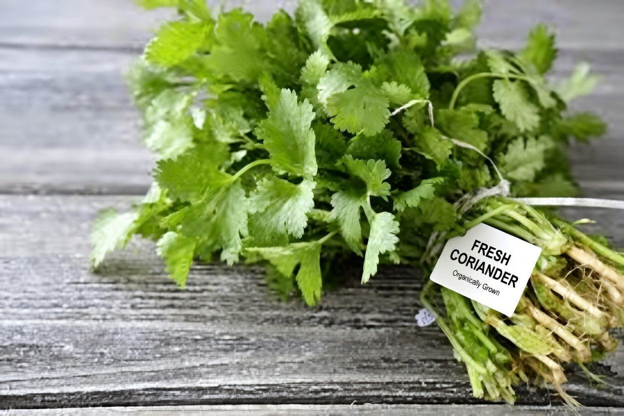 Top 5 Vegetables That May Naturally Support Lower Creatinine Levels and Better Kidney Function (GFR)