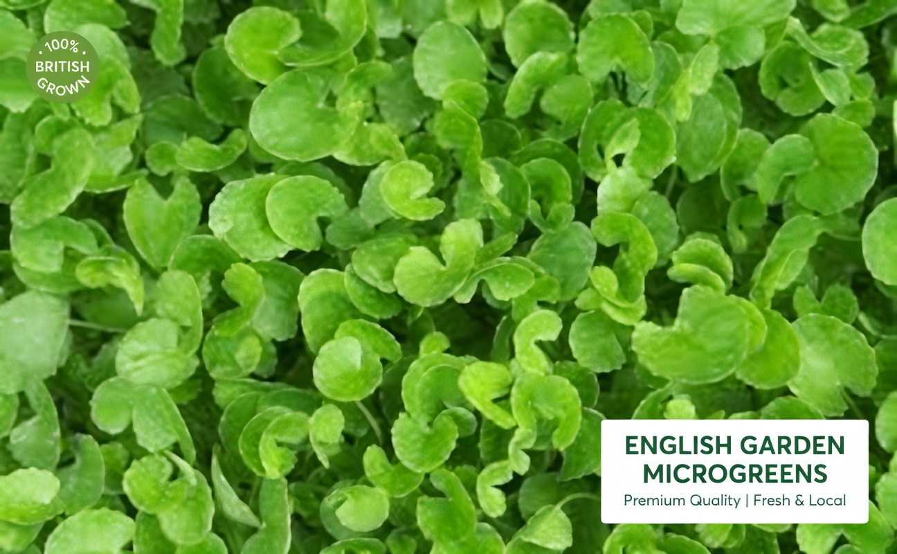 Top 5 Vegetables That May Naturally Support Lower Creatinine Levels and Better Kidney Function (GFR)