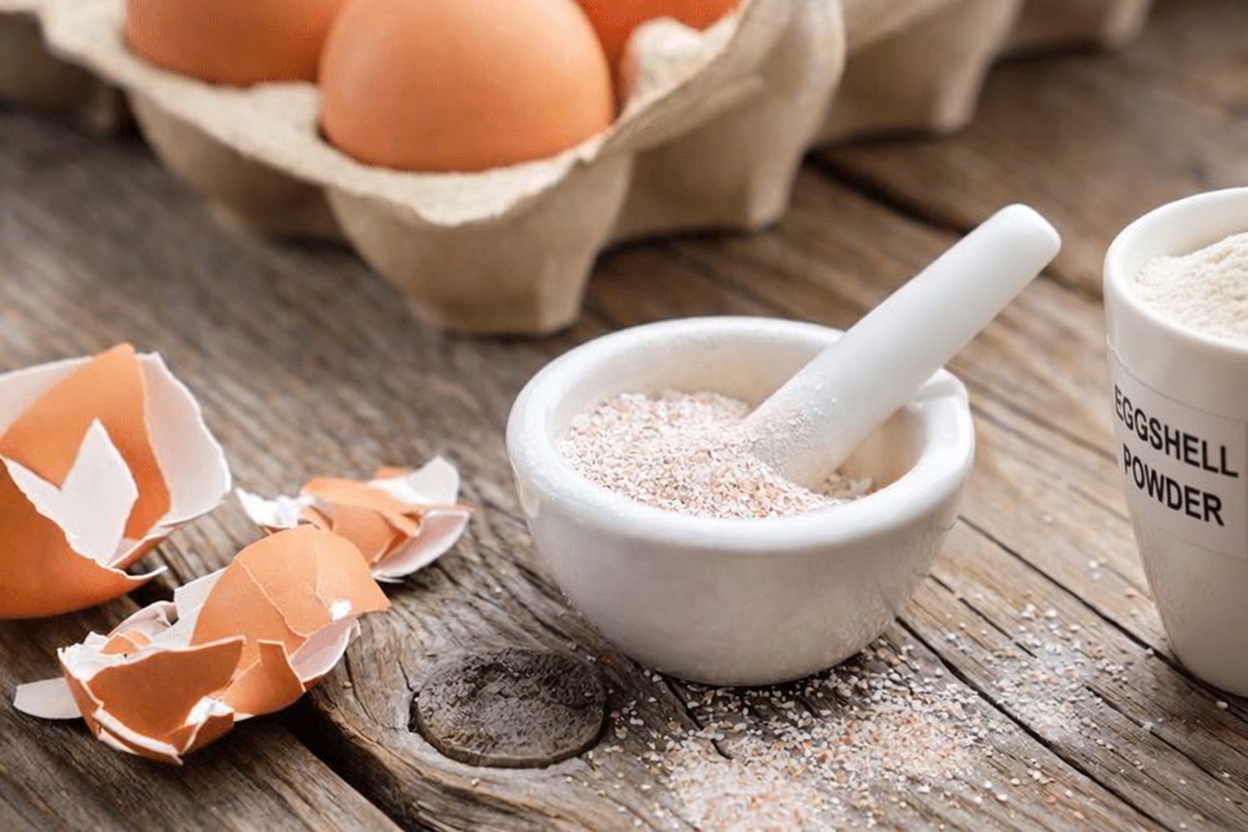 Eggshell Powder and Toothpaste: Unlock Tartar-Free Teeth Naturally at Home