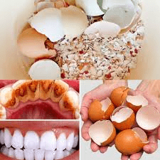 Eggshell Powder and Toothpaste: Unlock Tartar-Free Teeth Naturally at Home