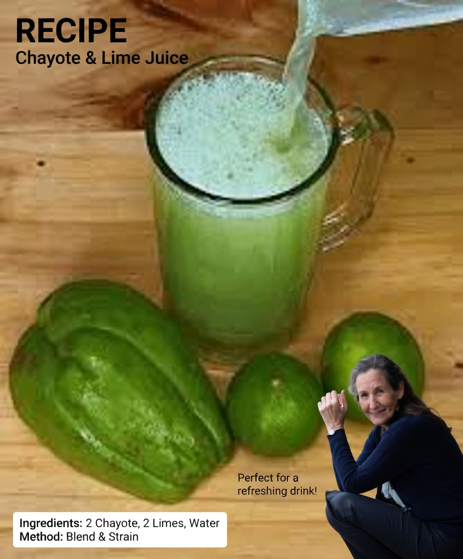 Discover Chayote Juice and Tea: Easy Ways to Support Fresher Mornings and Fewer Daily Aches for Adults Over 40