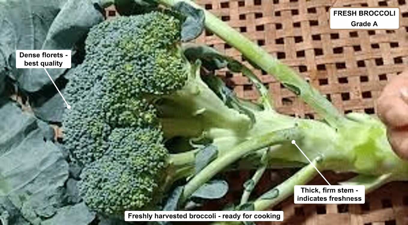 Eat These 12 Natural Foods Every Day After 50 to Feel Energized and Strong