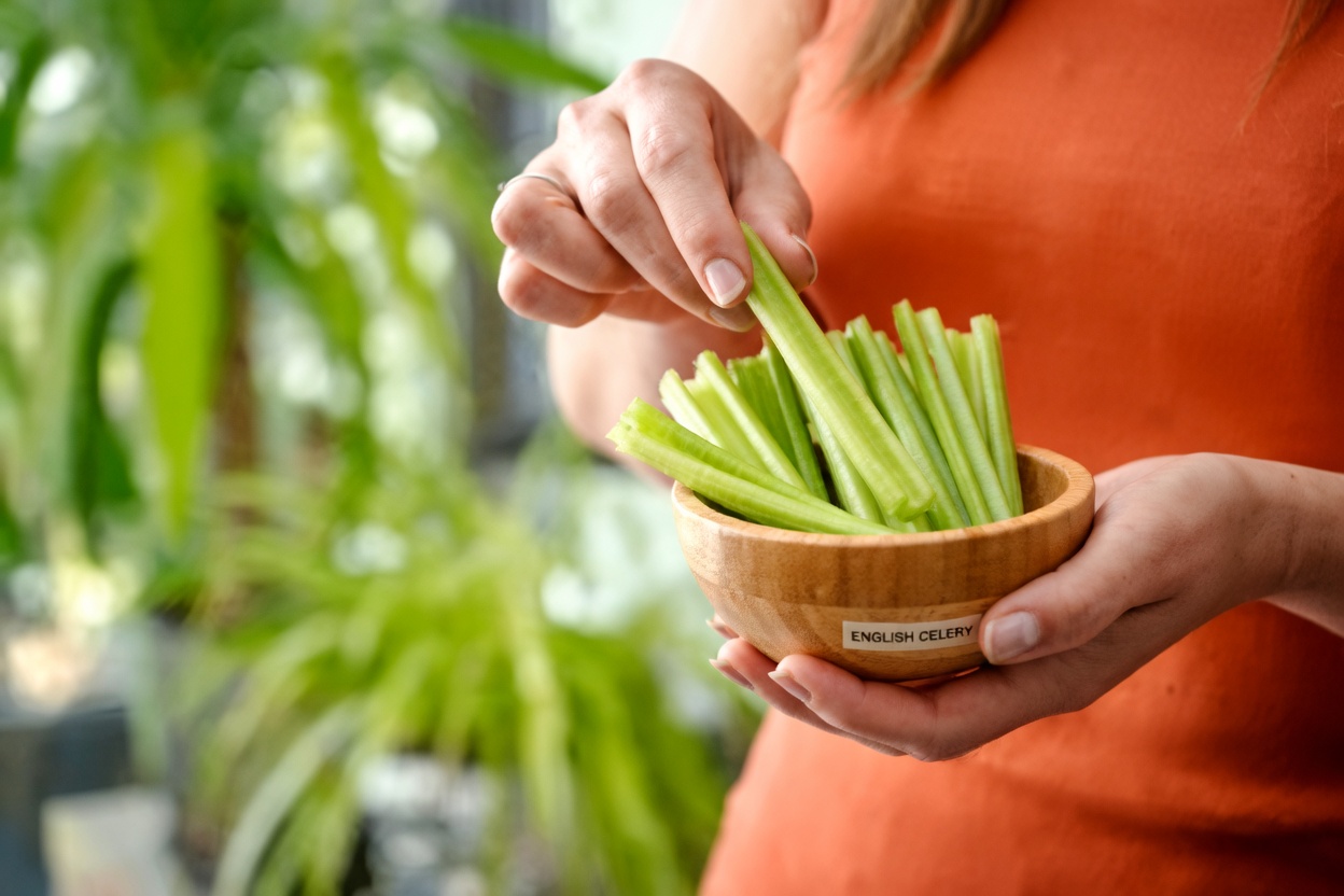 5 Ordinary Vegetables That Can Quietly Lower Your Creatinine and Boost GFR (Even If Your Doctor Is Already Worried)