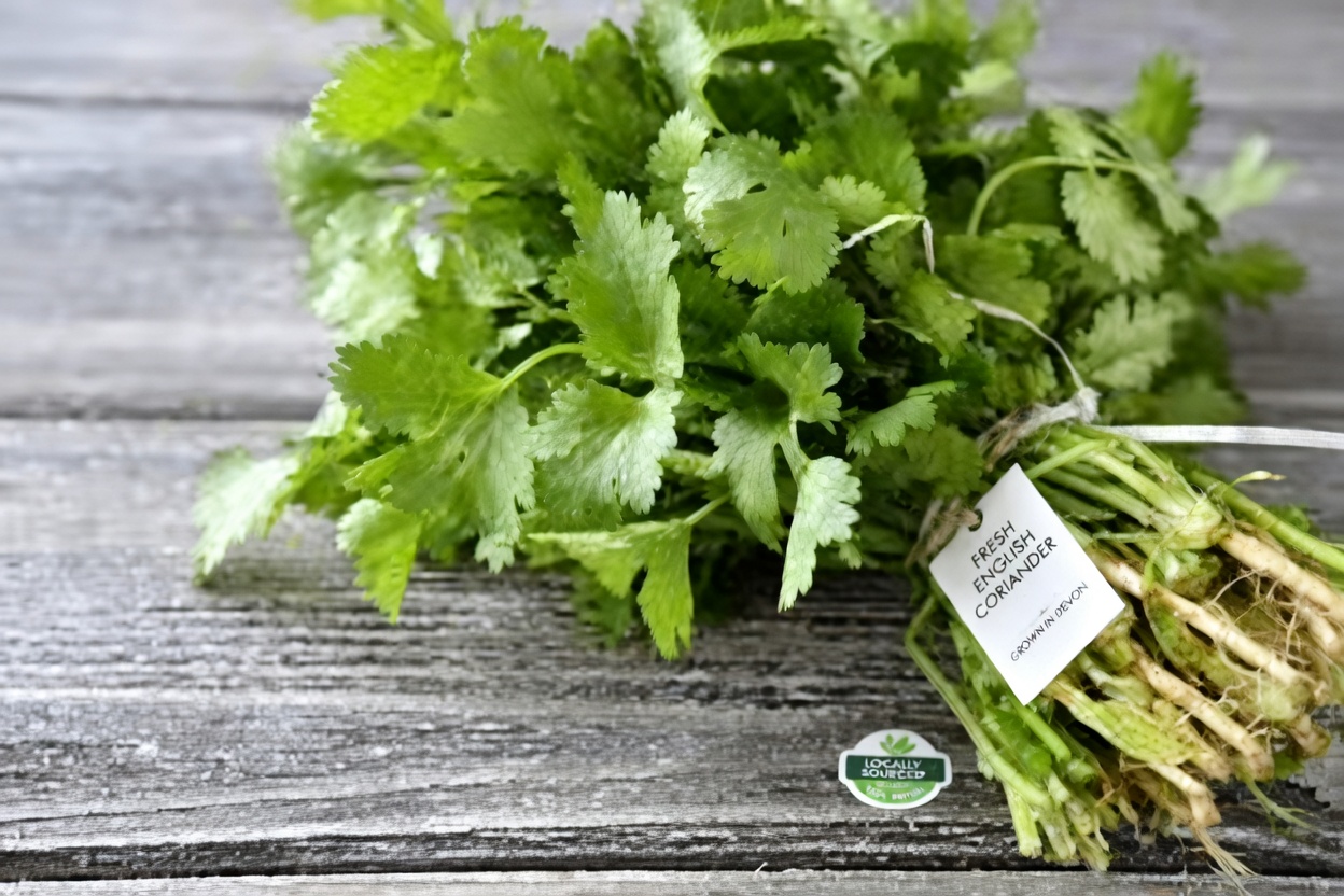 5 Ordinary Vegetables That Can Quietly Lower Your Creatinine and Boost GFR (Even If Your Doctor Is Already Worried)