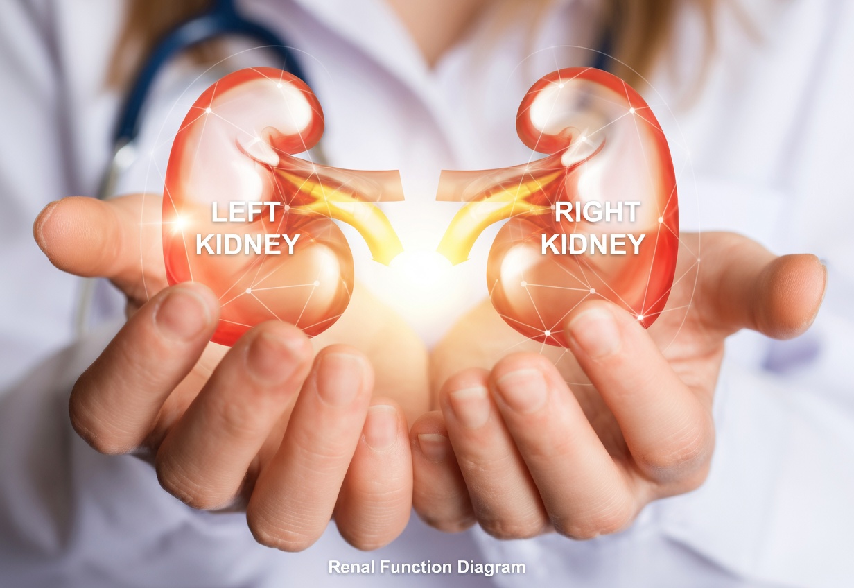 5 Silent Warning Signs Your Kidneys Are Crying for Help (Before Dialysis Becomes Your Only Option)