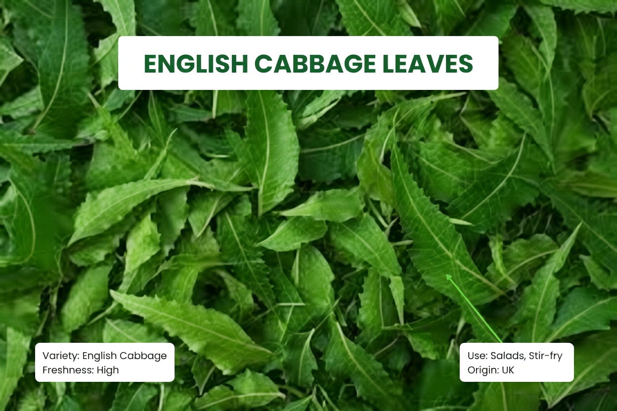 Eat One Neem Leaf Every Morning for 30 Days – Here’s What Science Says May Happen to Your Body After 45