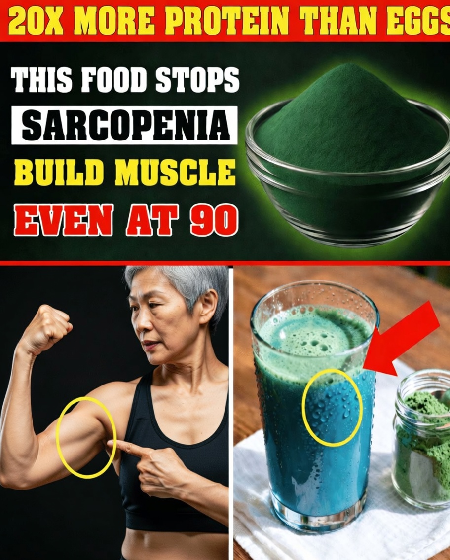Seniors: Build Muscle After 70 With These 4 Plant Proteins (And the Simple Timing Trick That Makes Them Work)