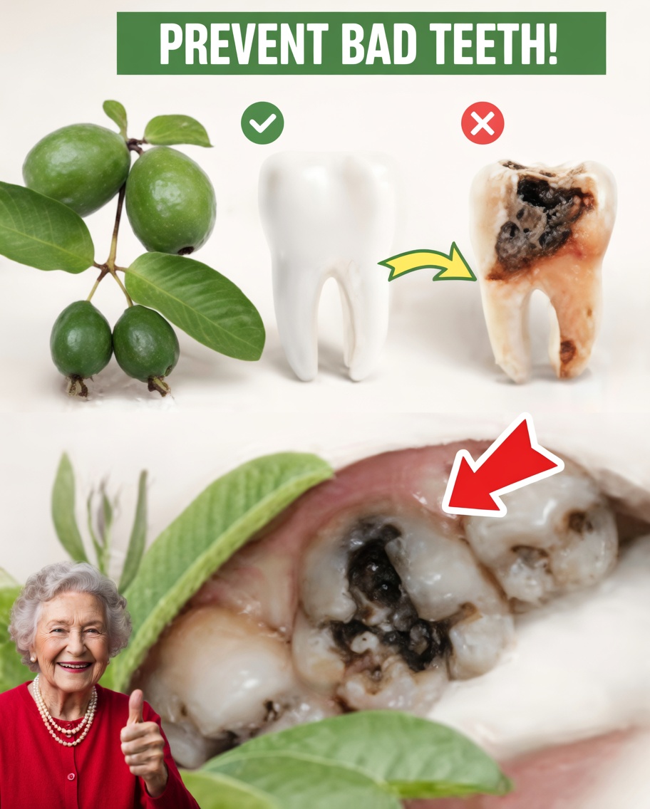 Top 3 Natural Ways to Support Tooth Health Using Guava Leaves – Simple and Cost-Effective!