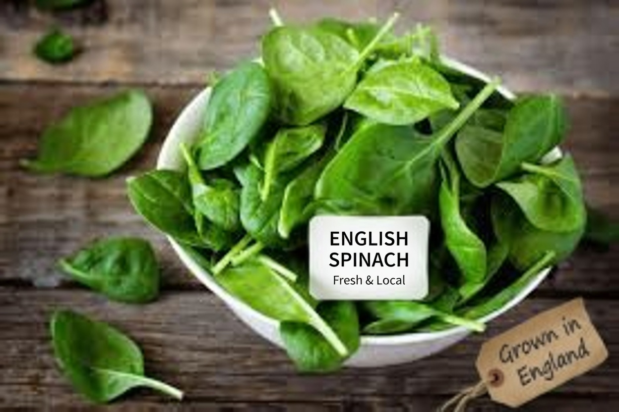 7 Power Foods to Boost Muscle Strength and Keep You Active After 50 – Don’t Miss Out!