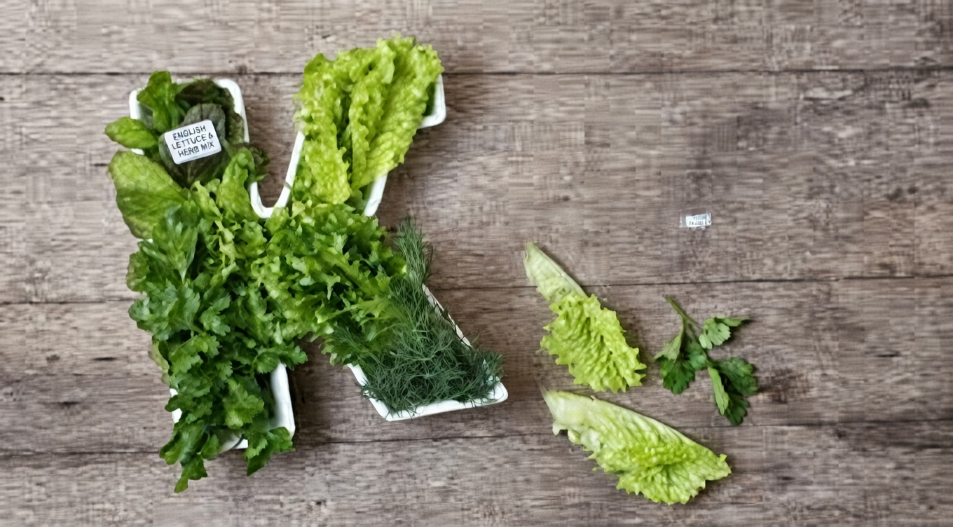 Could a Vitamin K Precursor Be the Key to Better Prostate Health? New Research Says Yes!