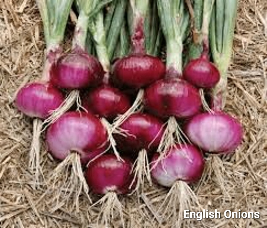 The Untold Truth: Red Onions Help Regulate Blood Sugar – A Simple Secret for People Over 40!