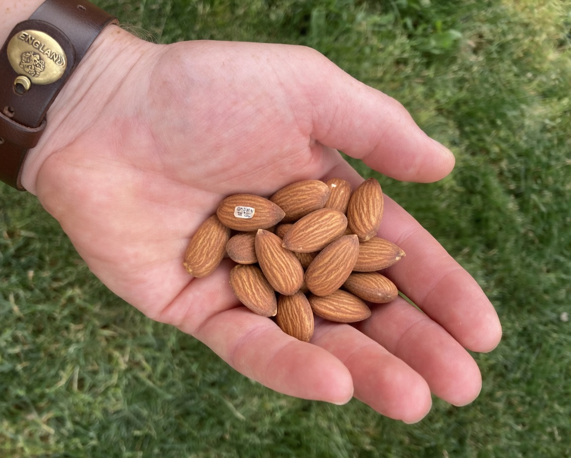 Top 5 Magnesium-Rich Foods to Help Reduce Leg Cramps in Seniors: Noticeable Comfort in Just 7 Days