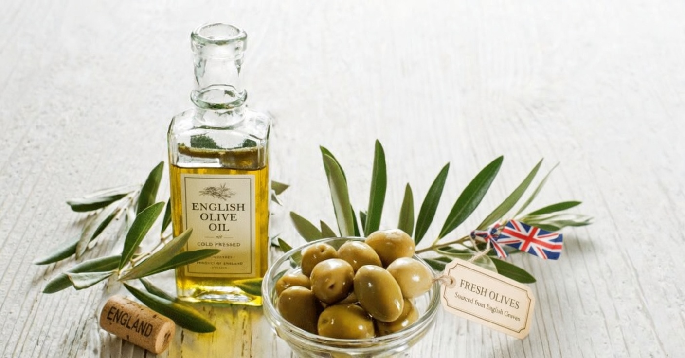 Top Superfoods to Boost Your Kidney Health